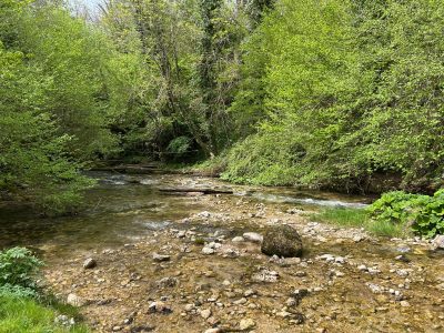 El poder de la oración