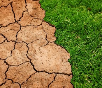La regeneración del planeta, fuente inagotable de riqueza