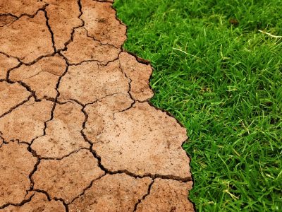 La regeneración del planeta, fuente inagotable de riqueza