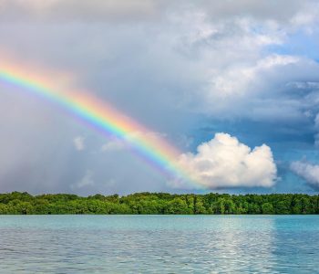 Cántico de las criaturas, san Francisco de Asís