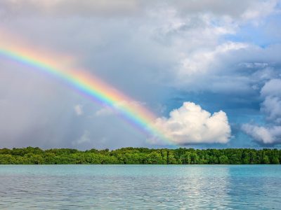 Cántico de las criaturas, san Francisco de Asís