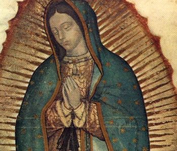 Marialogía