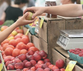 Todos héroes contra el desperdicio de alimentos