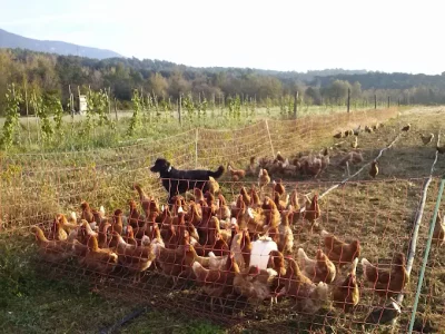 Paseo formativo a Sant Ferriol y Olot