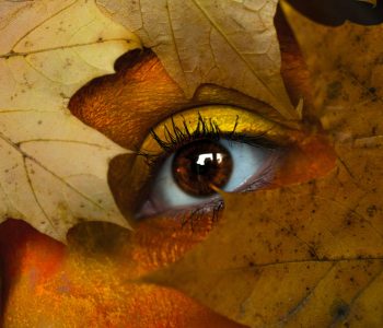 Mirar el mundo por más de una ventana