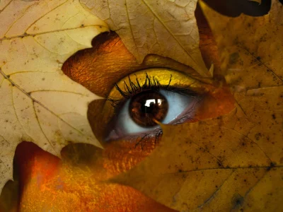 Mirar el mundo por más de una ventana