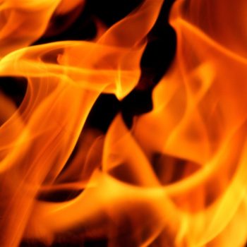 Vivificar nuestra zarza ardiente interior